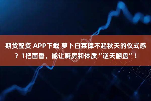 期货配资 APP下载 萝卜白菜撑不起秋天的仪式感？1把茴香，能让厨房和体质“逆天翻盘”！