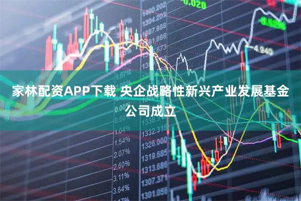 家林配资APP下载 央企战略性新兴产业发展基金公司成立